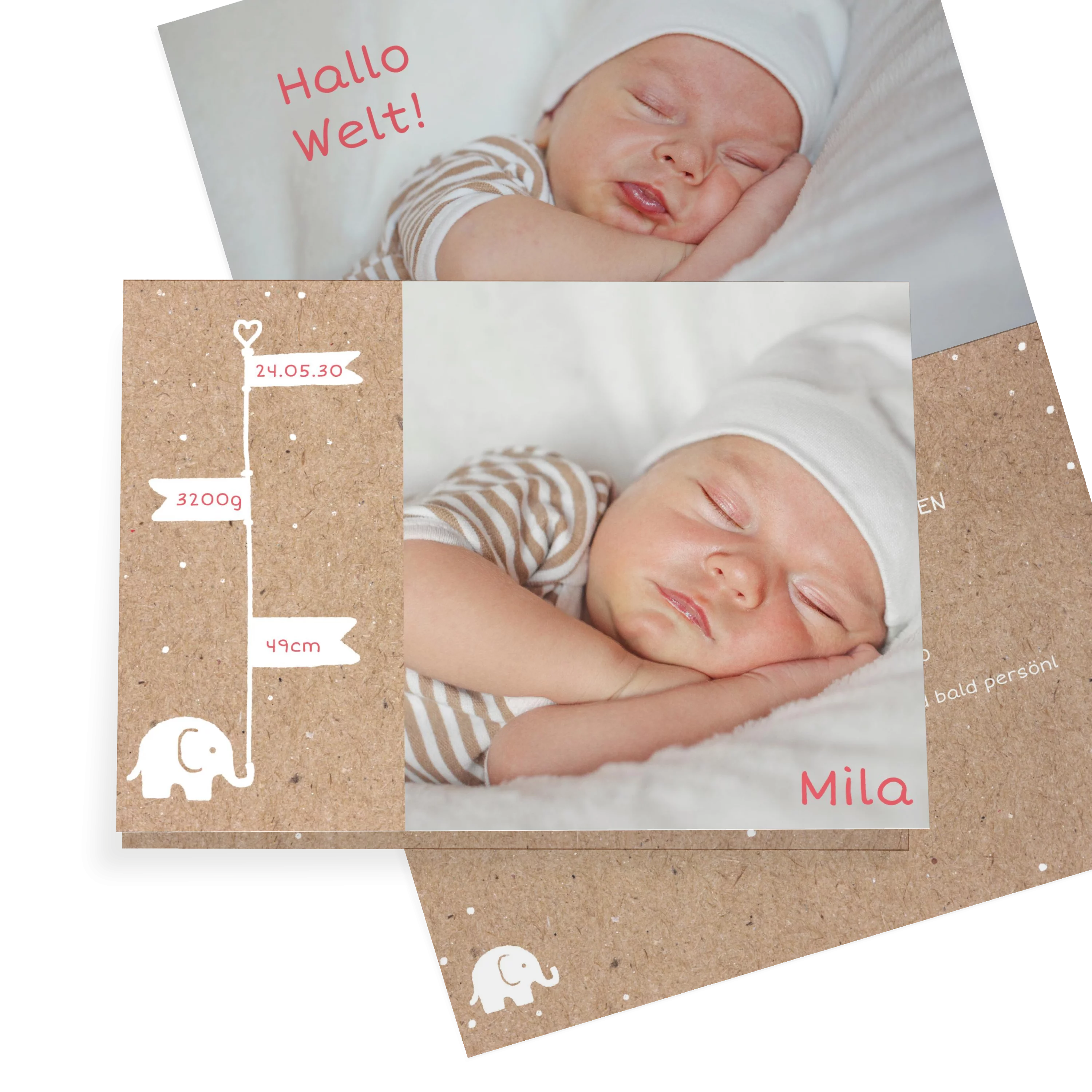 Baby Elefant Fahne Kraft