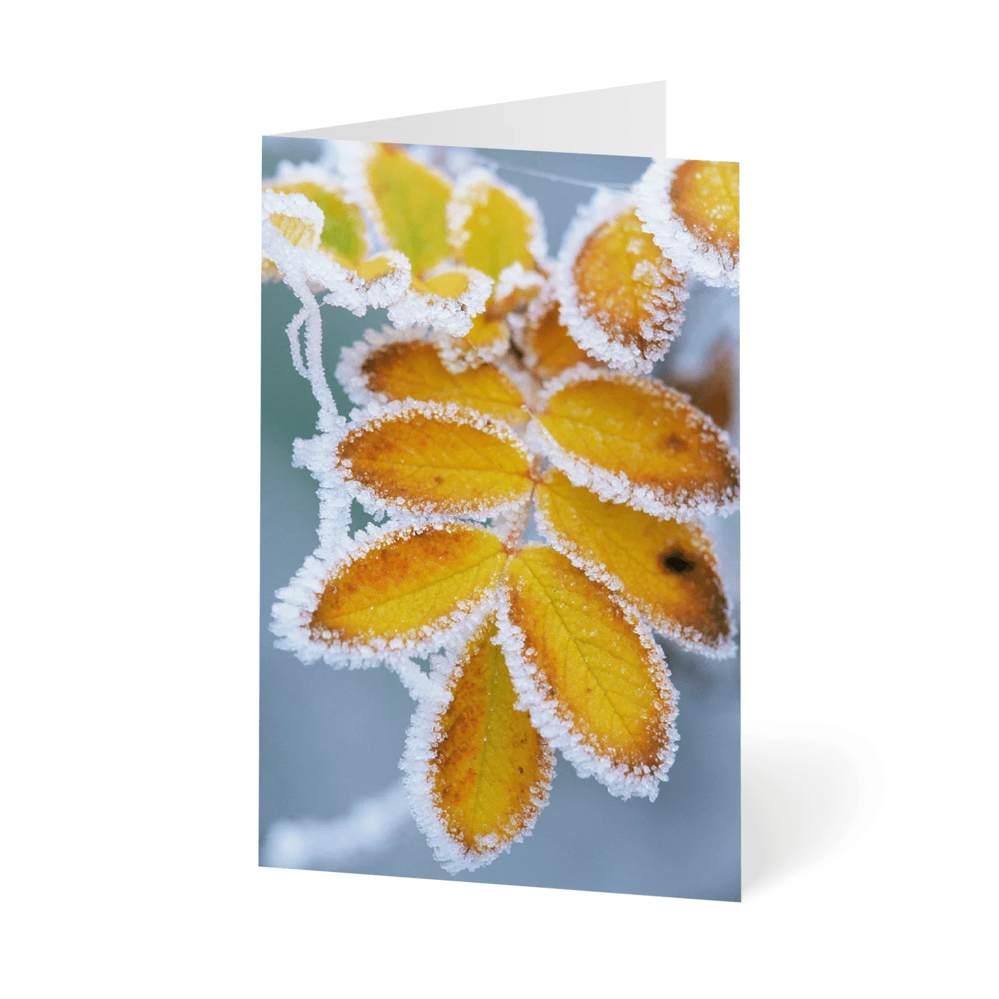 Frostgeflüster