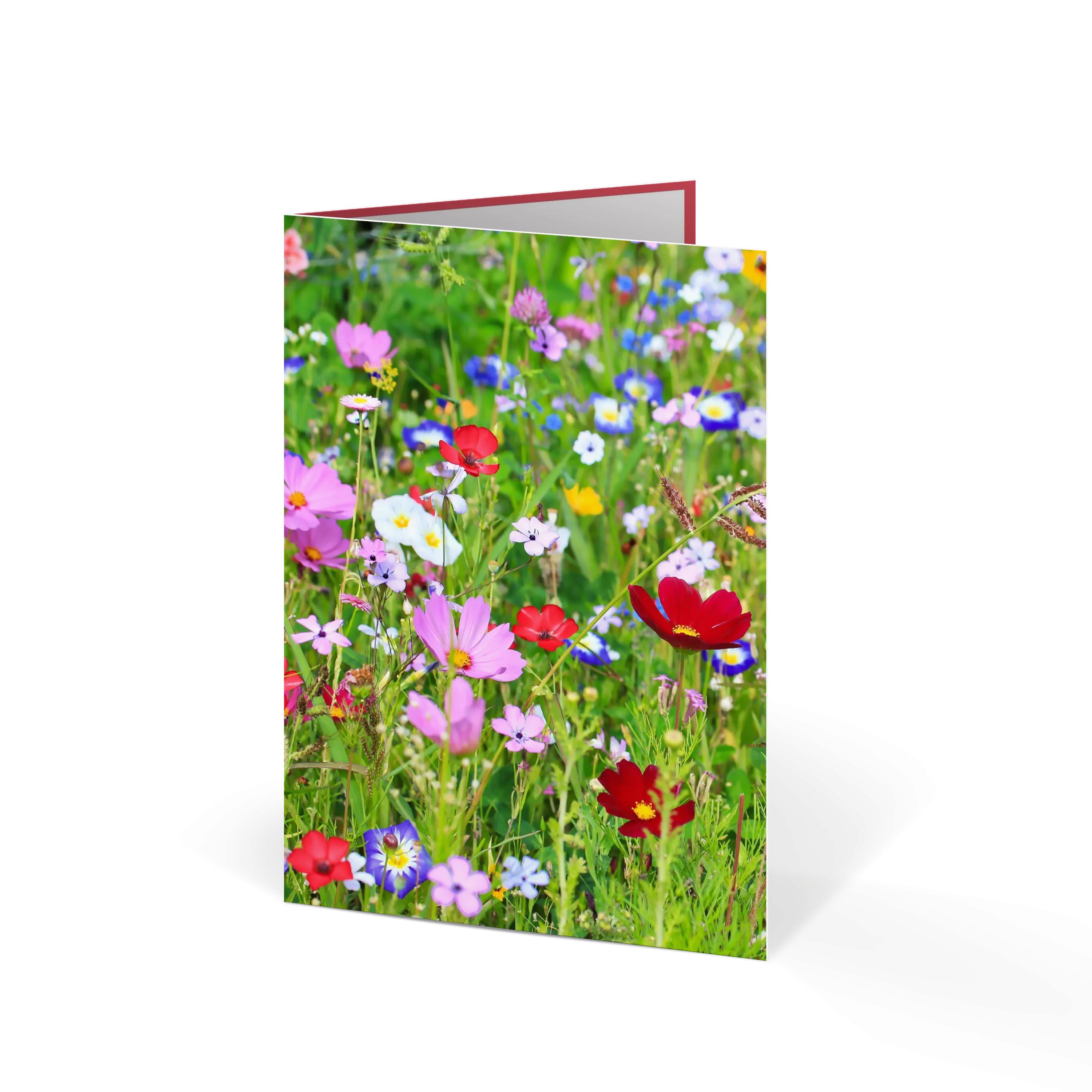 Blumenwiese
