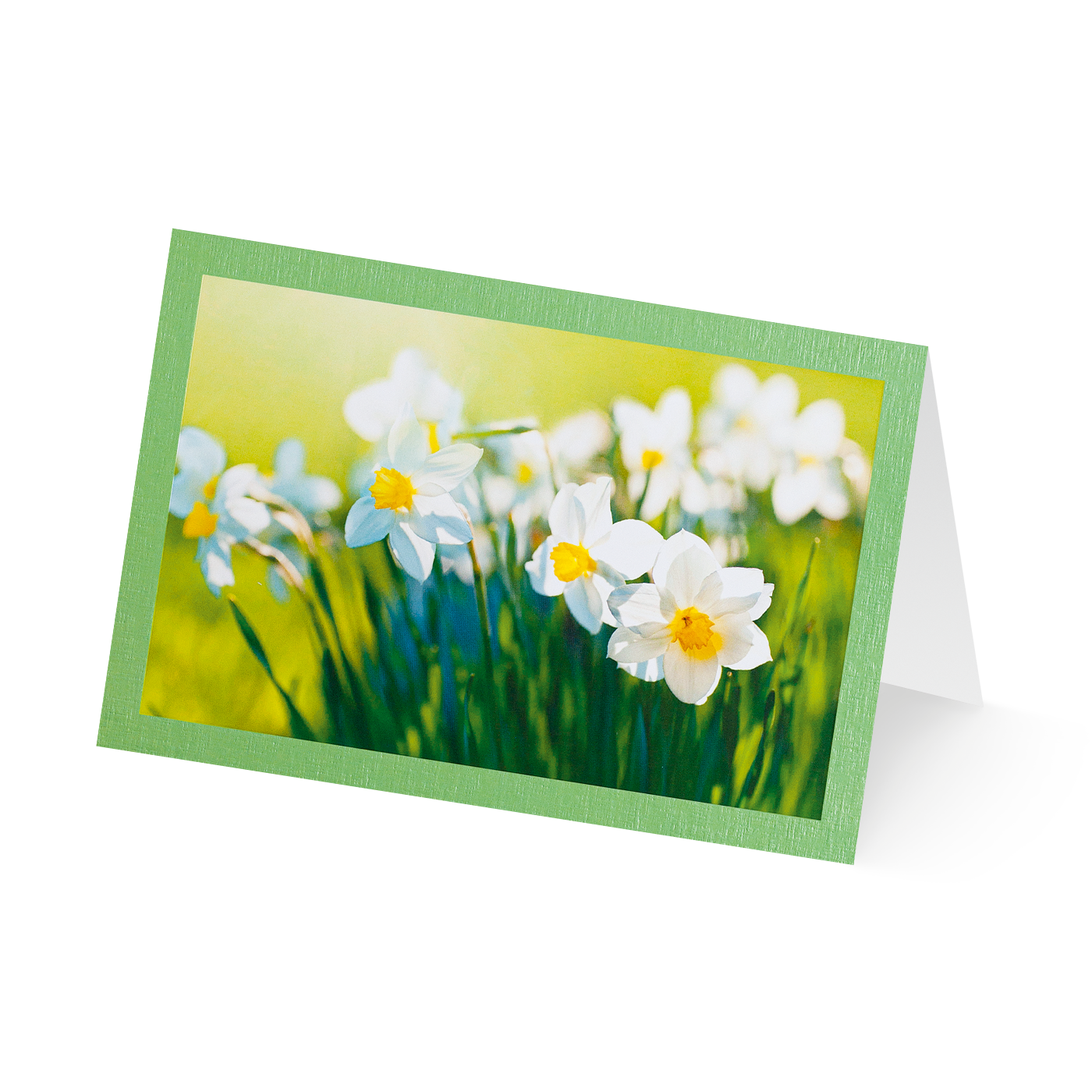 Grußkarte „Erste Frühjahrsblüten“ kaufen im UNICEF Grußkartenshop. Bild 6
