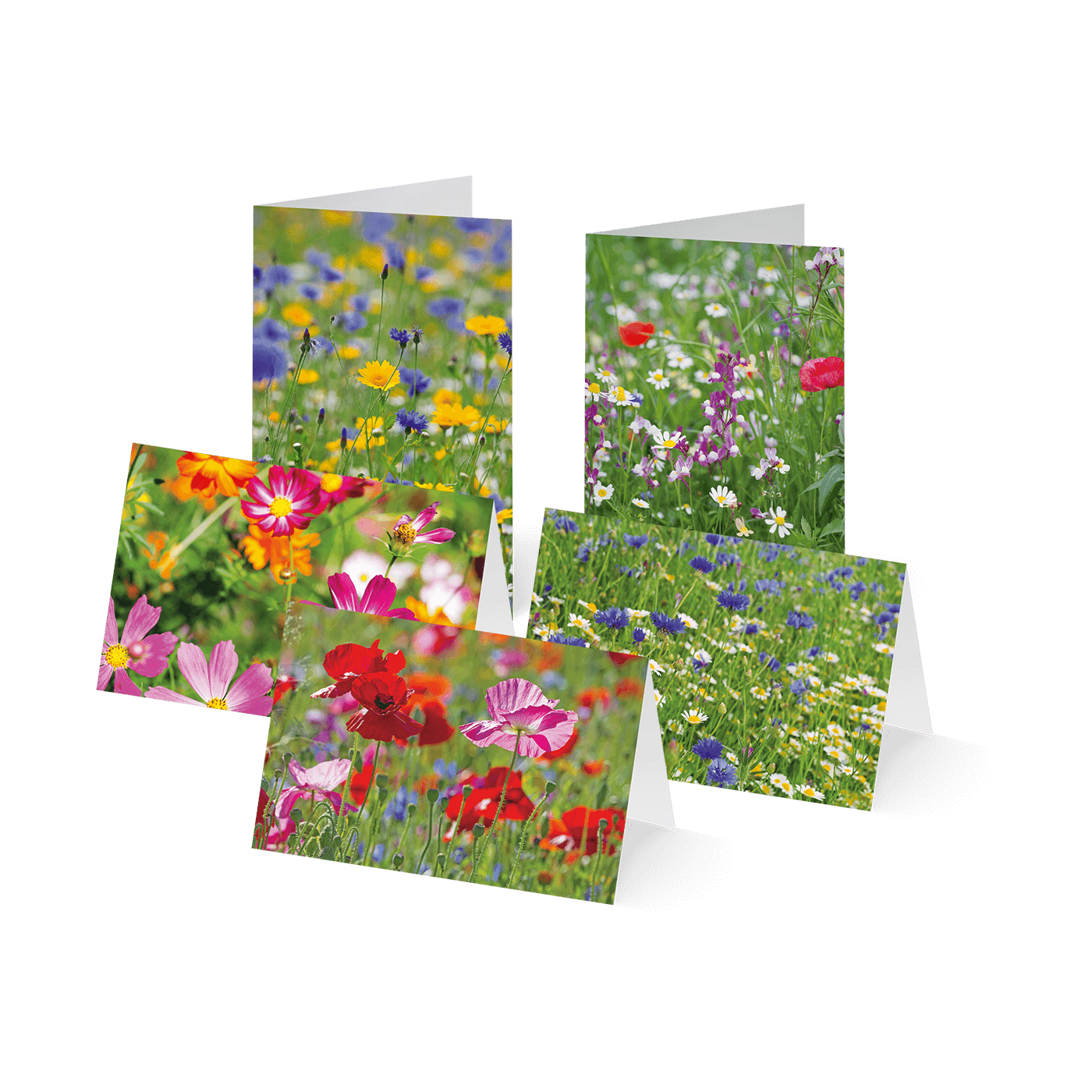 Grußkarte „Blumenwiesen“ kaufen im UNICEF Grußkartenshop. Bild 6