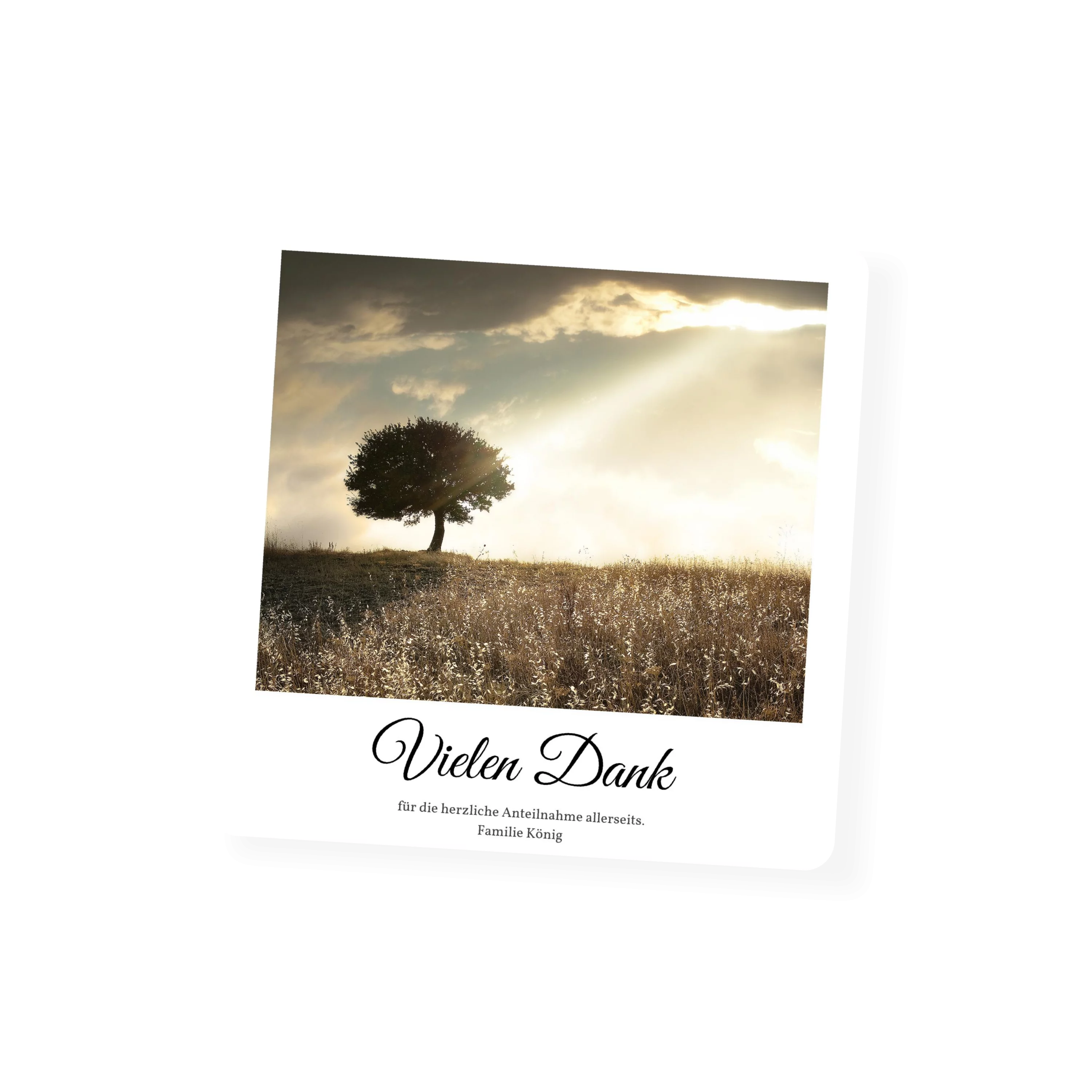 Ein Baum Sterbebild