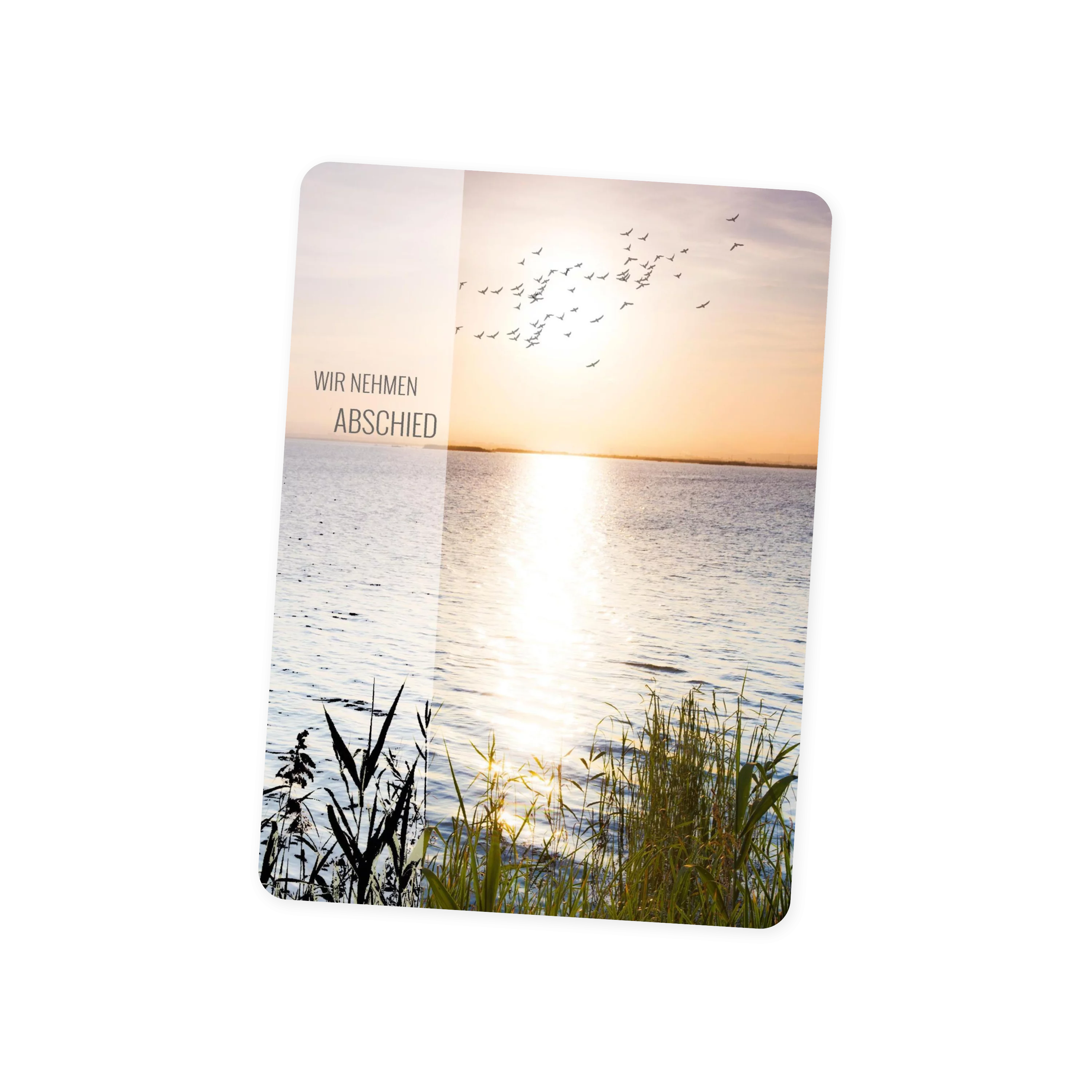 Abendsonne Am See