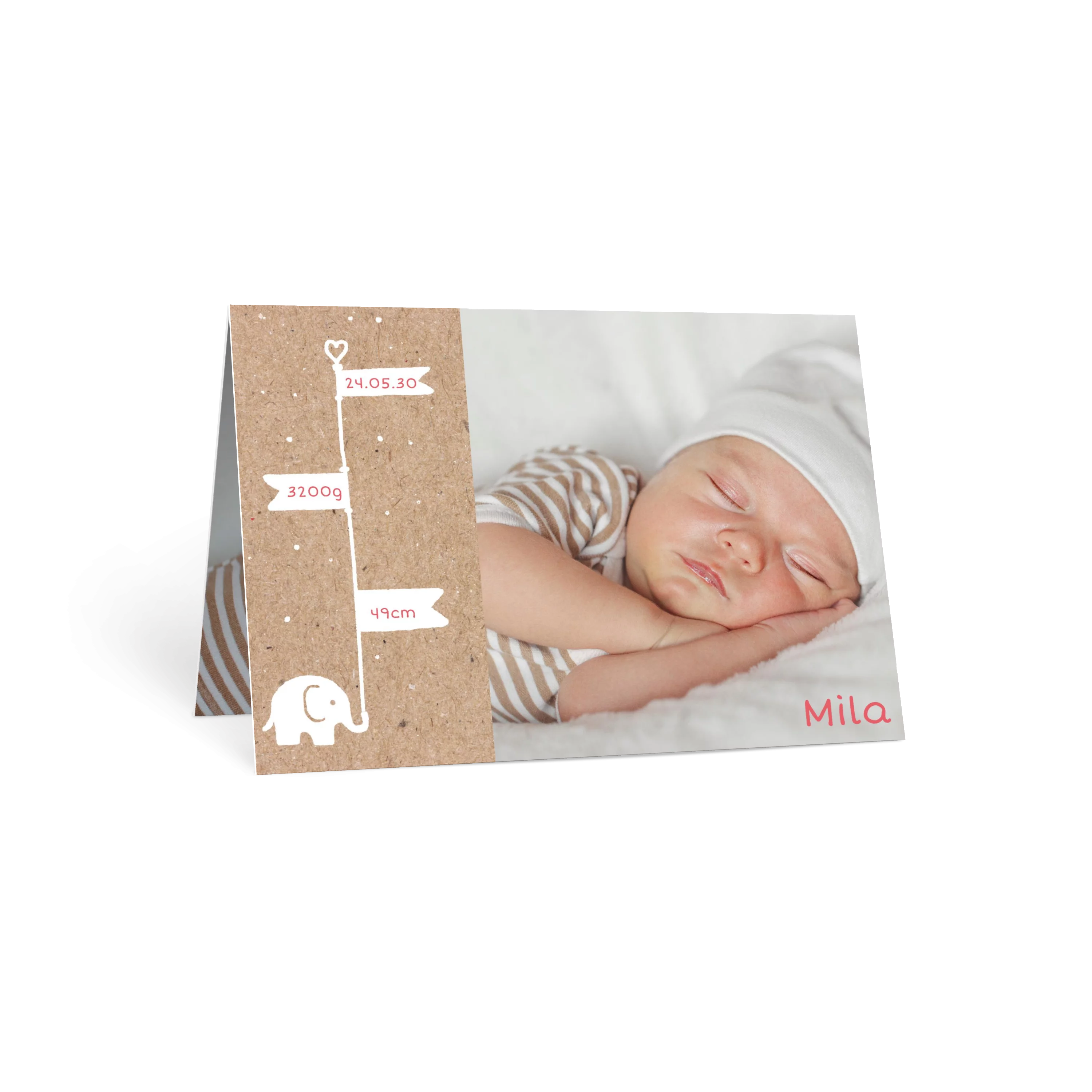Baby Elefant Fahne Kraft