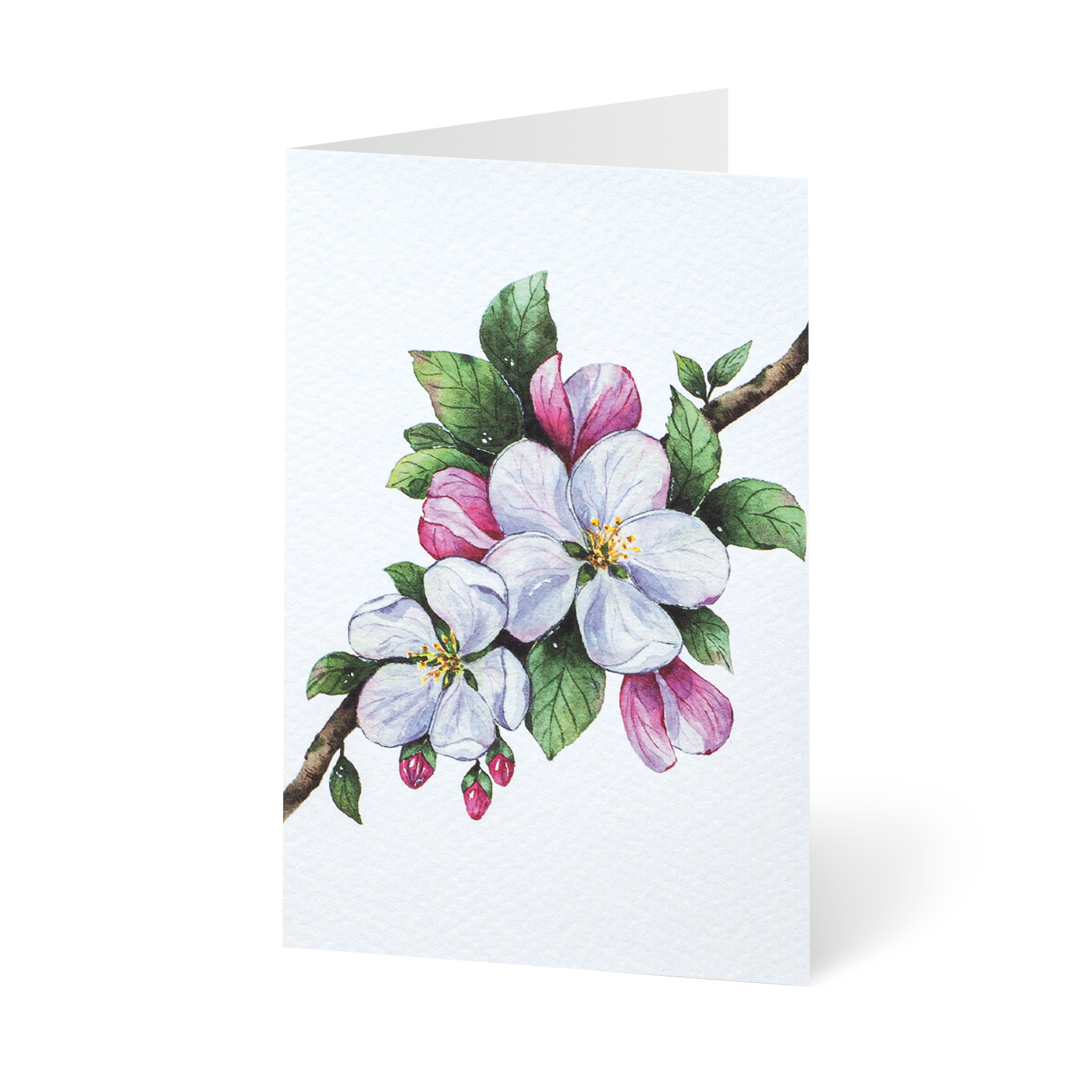 Grußkarte „Minikarten Blütenzweige“ kaufen im UNICEF Grußkartenshop. Bild 2