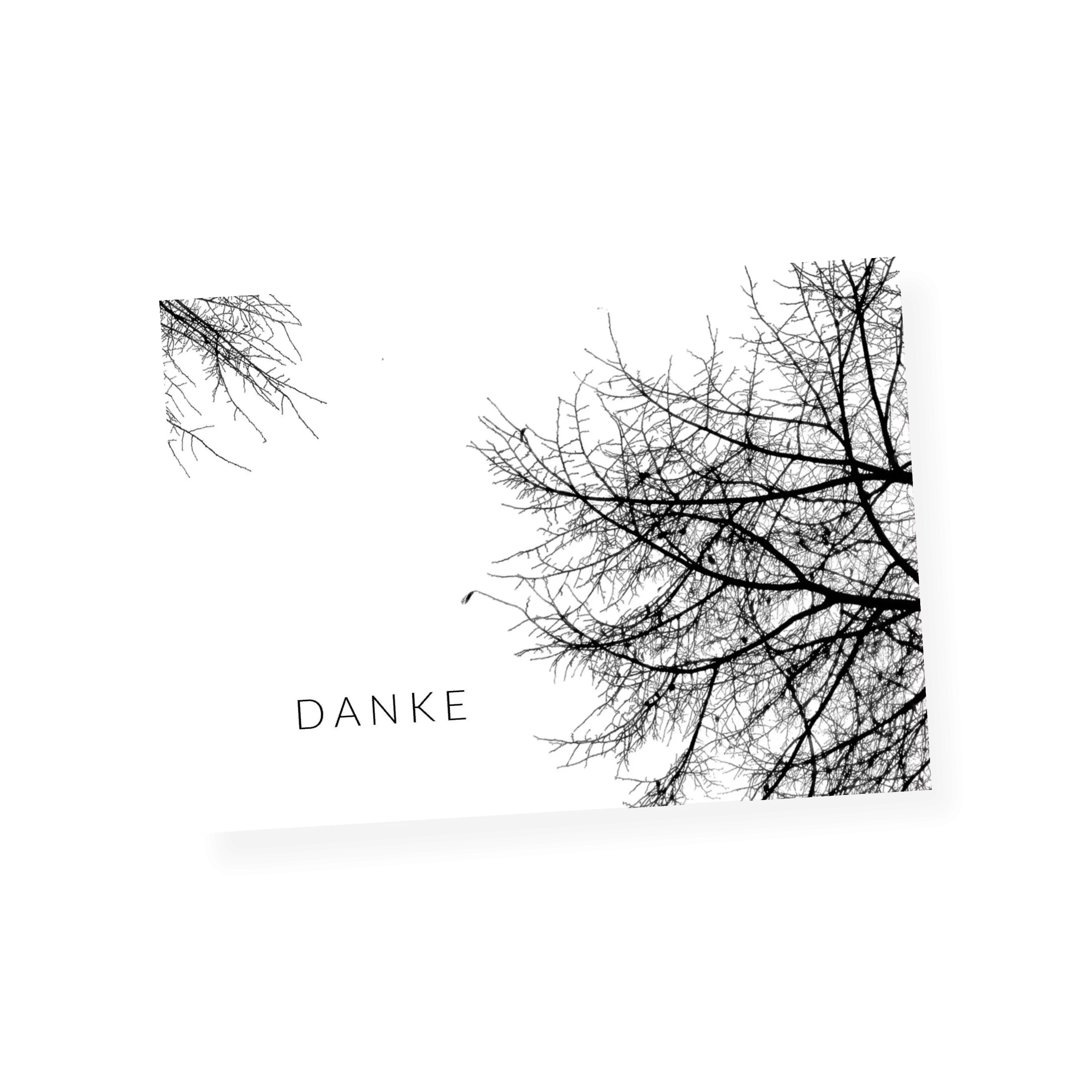 Äste am Baum