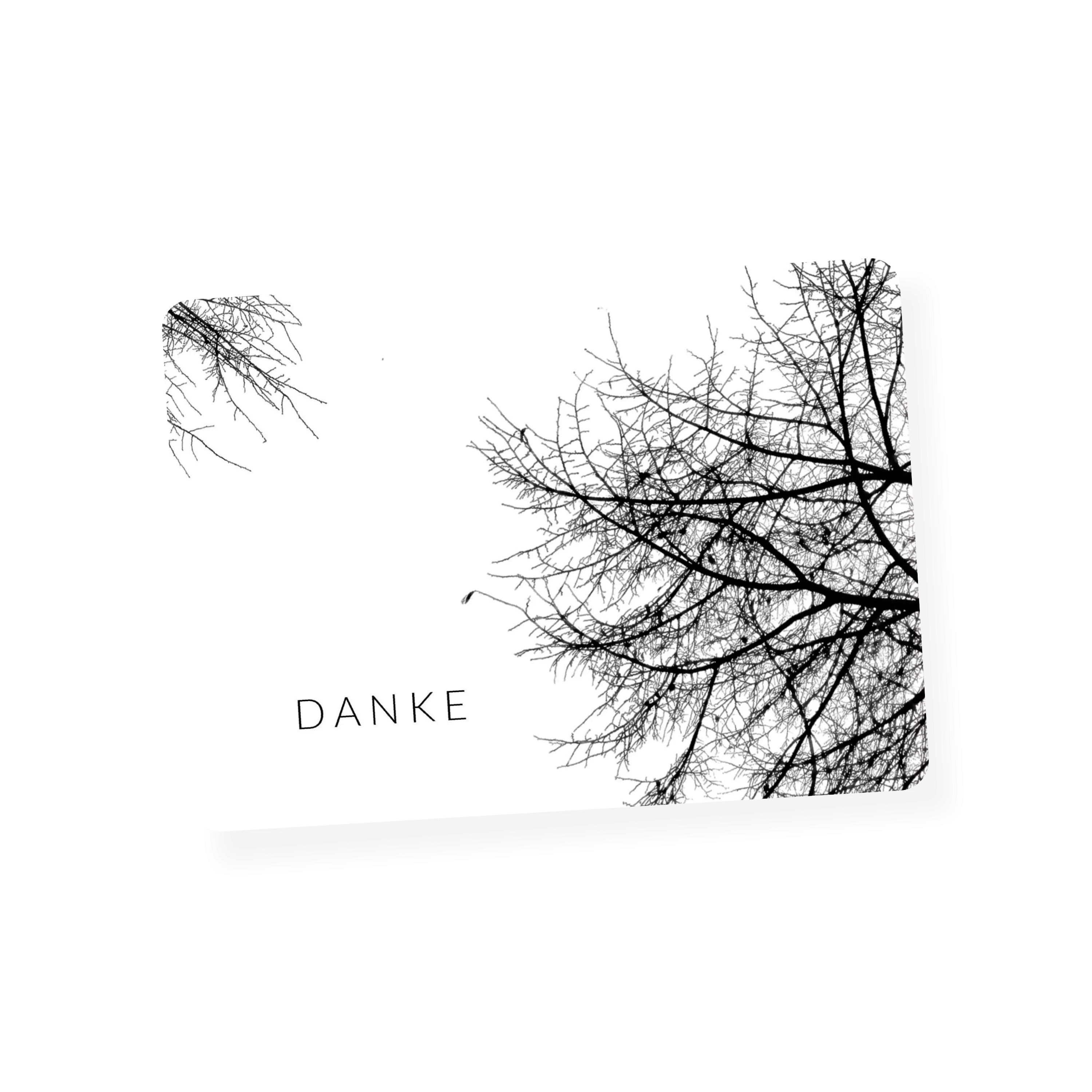 Äste am Baum