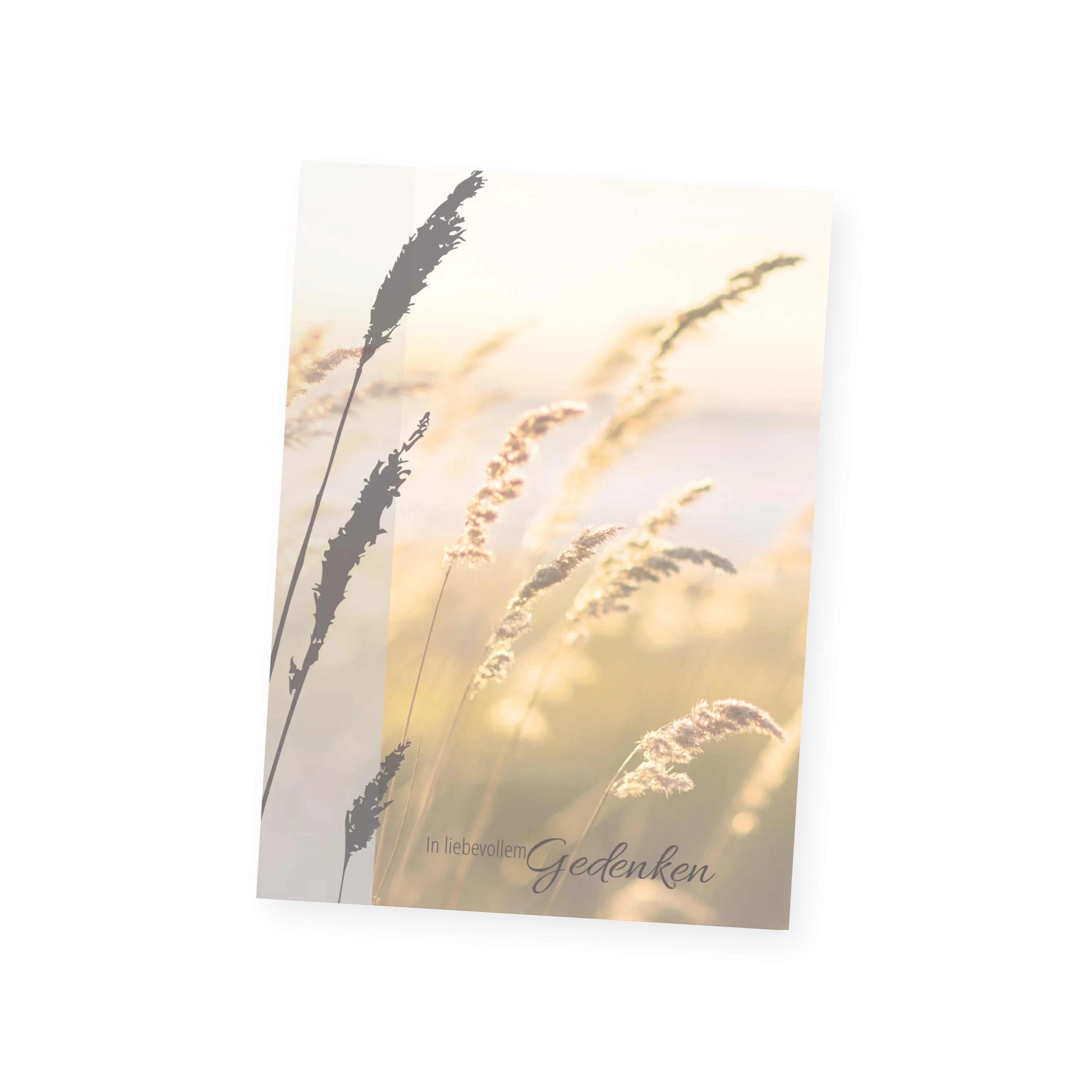 Stille Weide Sterbebild