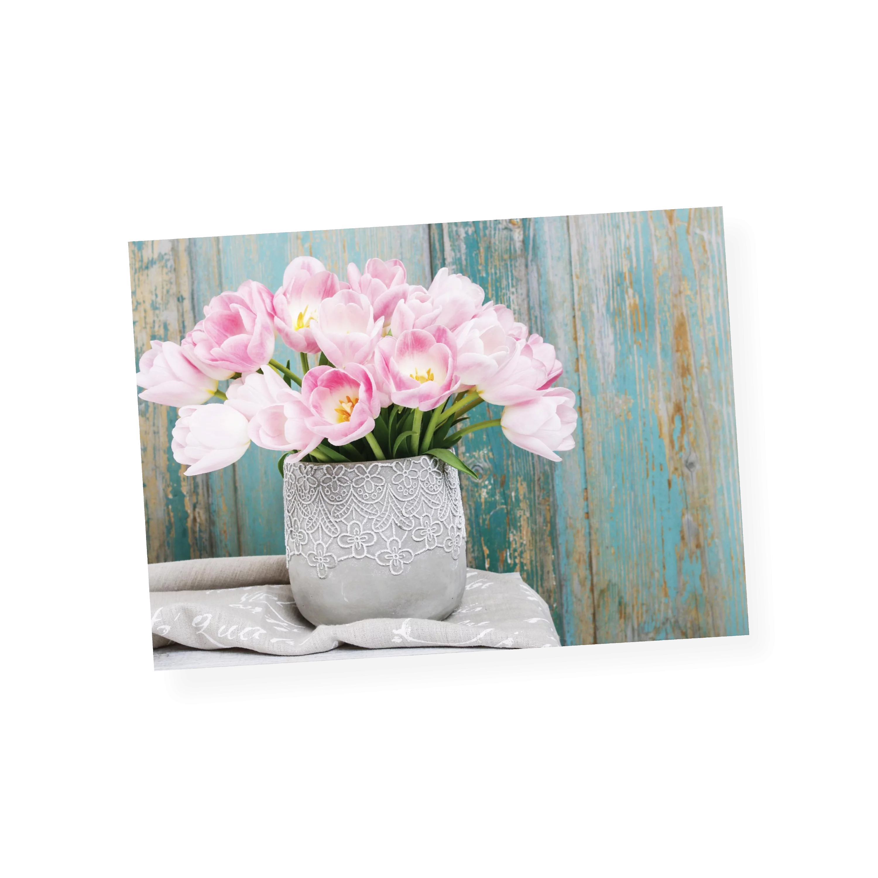 Tulpen