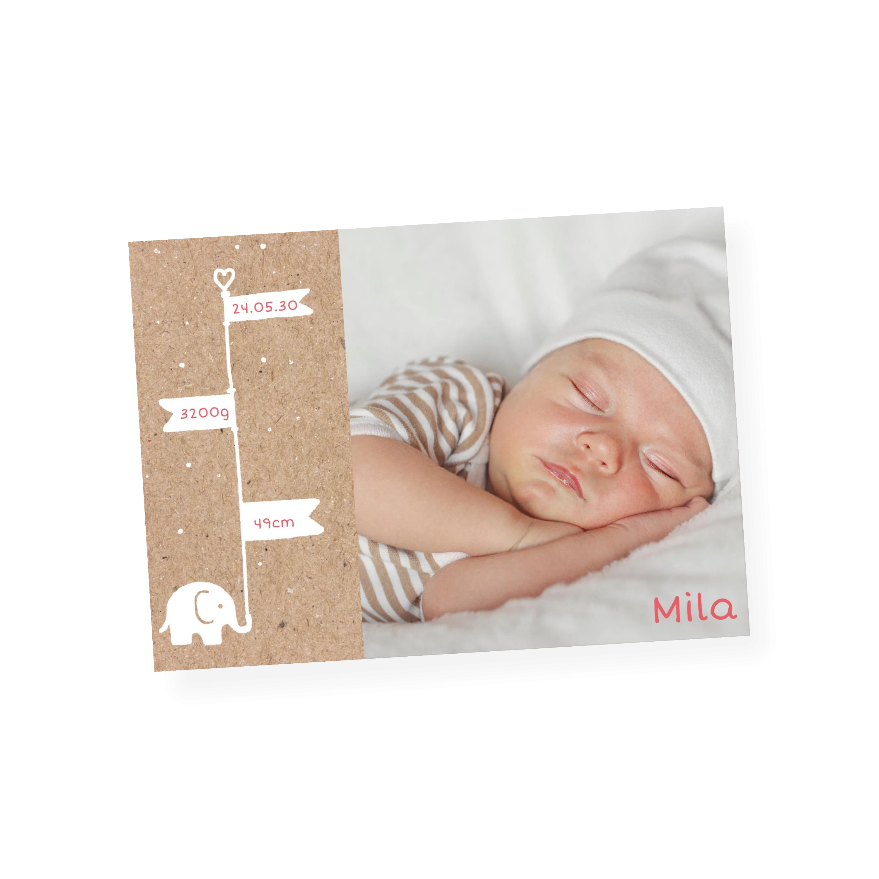 Baby Elefant Fahne Kraft