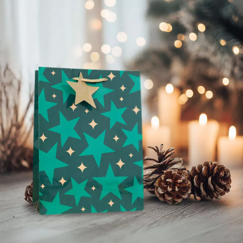 Geschenktaschen Weihnachtsstern