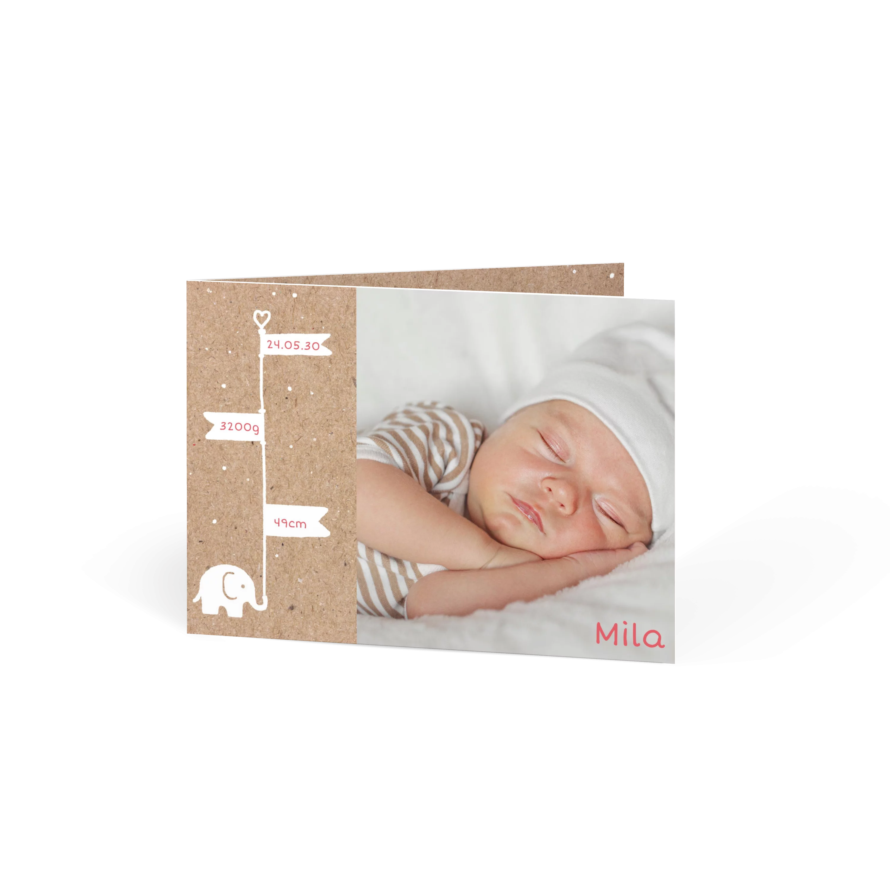 Baby Elefant Fahne Kraft