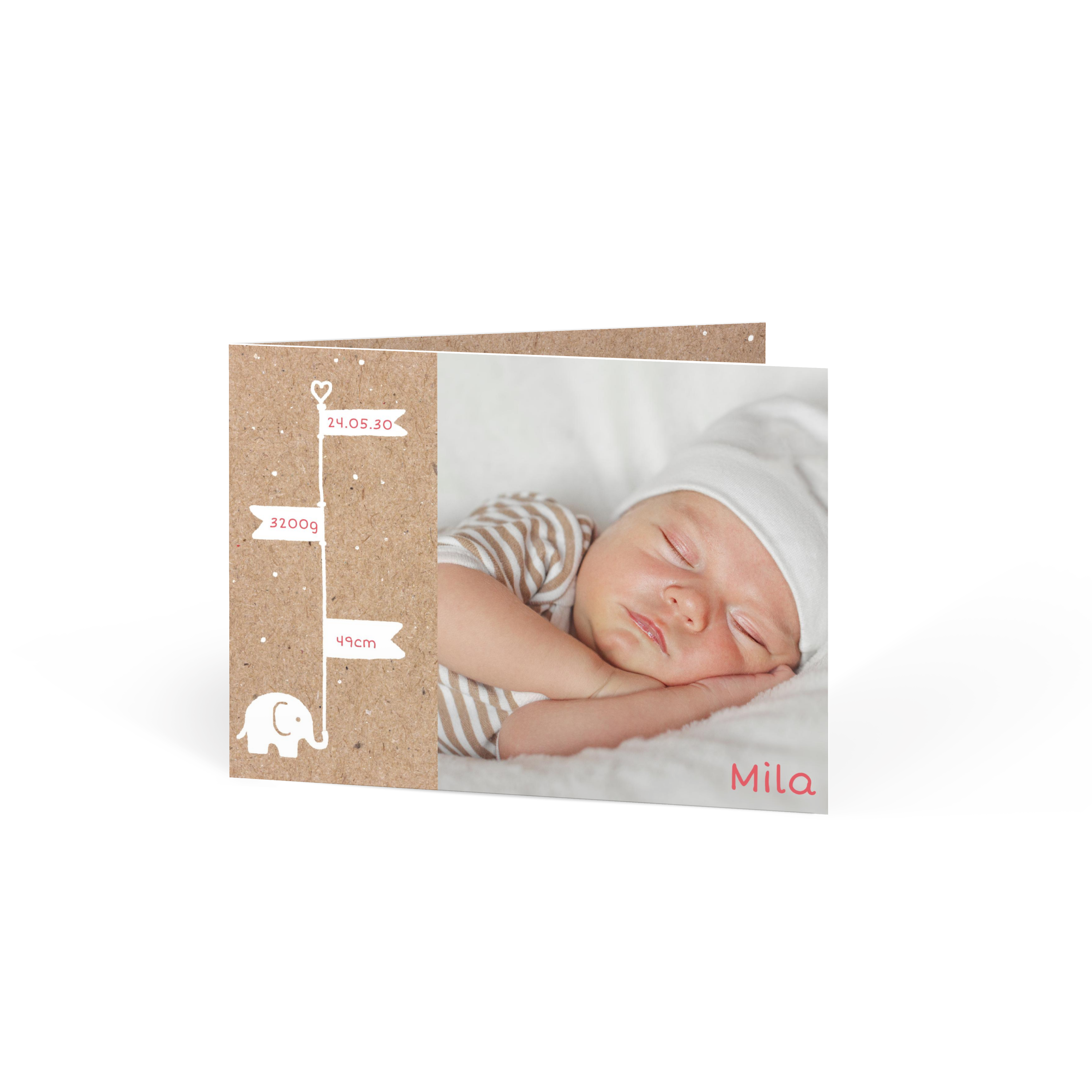 Baby Elefant Fahne Kraft