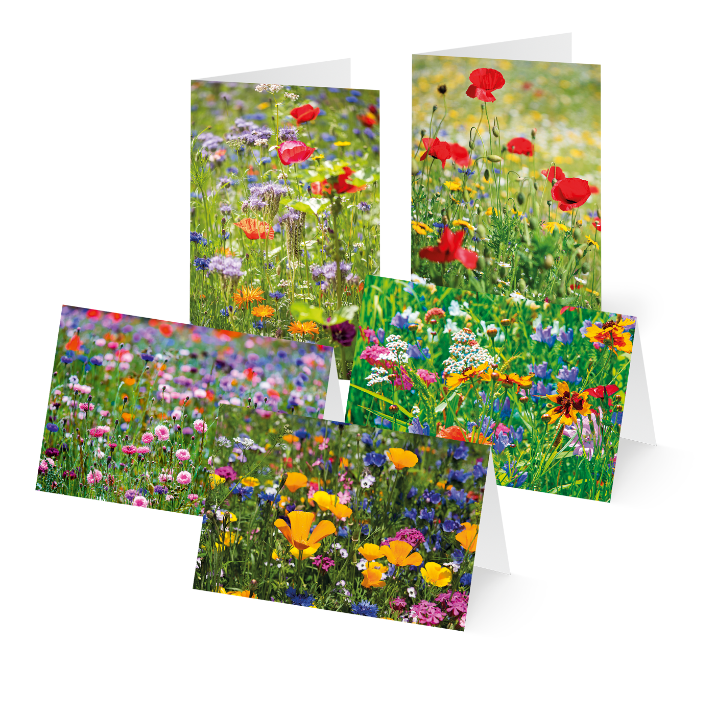 Grußkarte „Wildes Blumenmeer“ kaufen im UNICEF Grußkartenshop. Bild 6