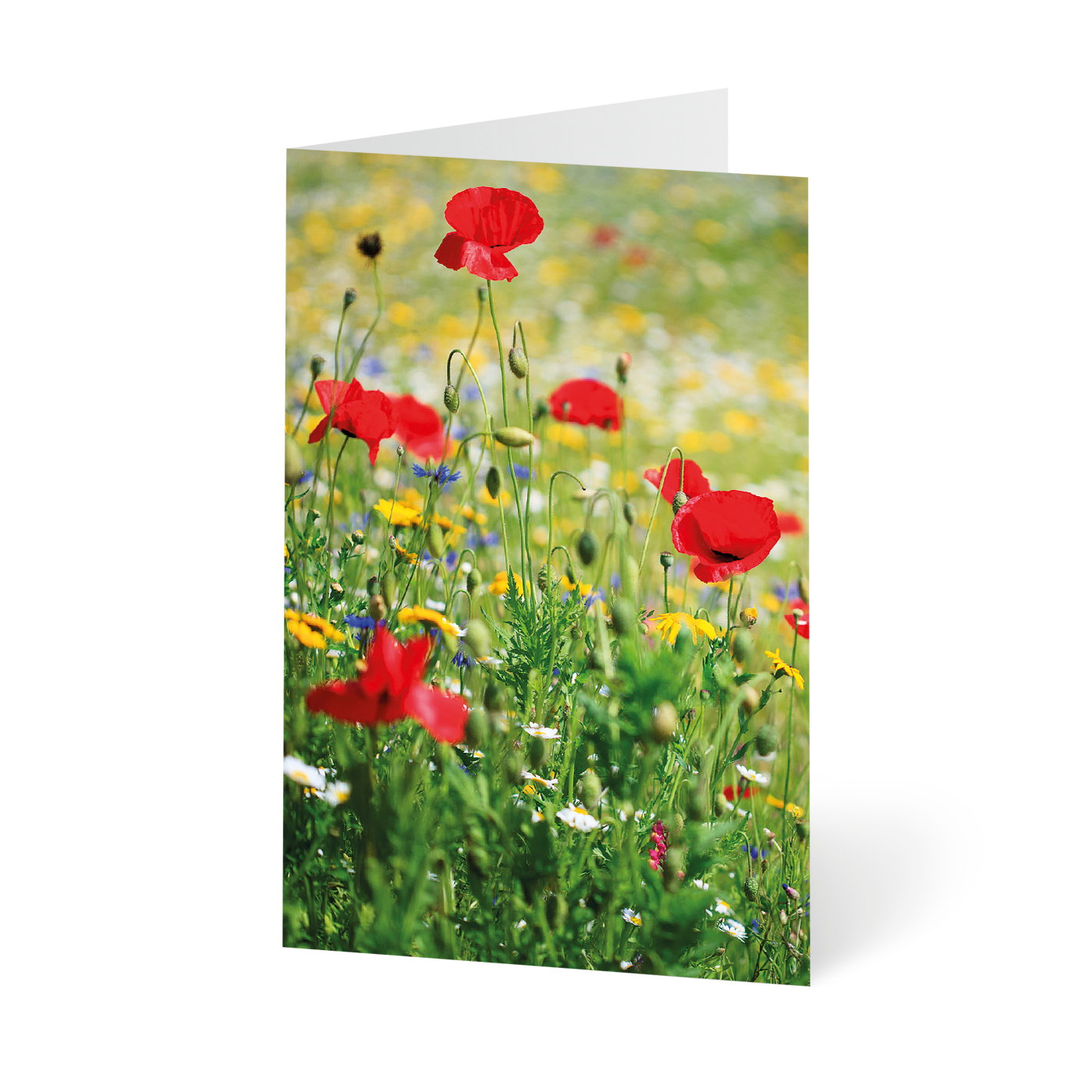 Grußkarte „Wildes Blumenmeer“ kaufen im UNICEF Grußkartenshop. Bild 1