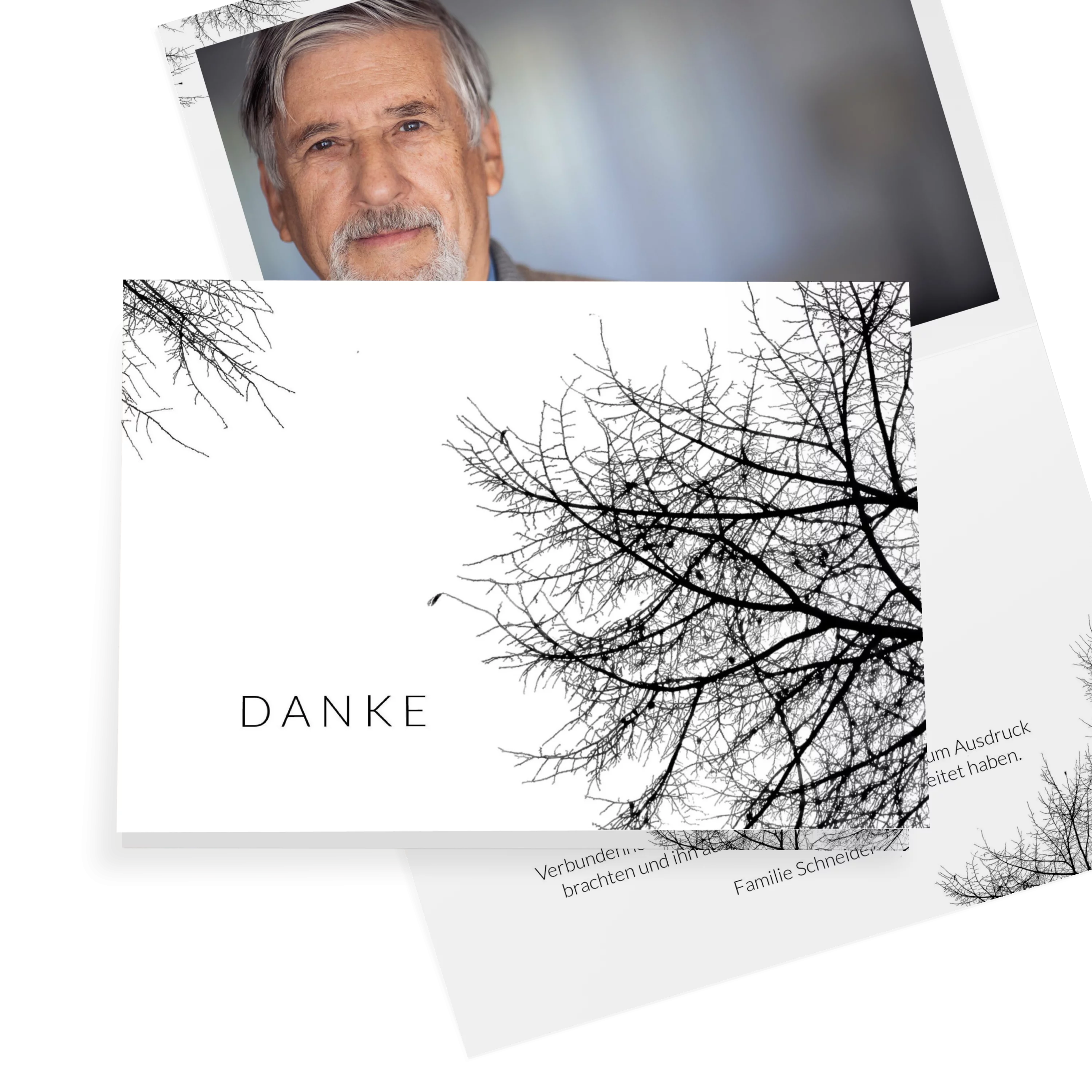 Äste am Baum