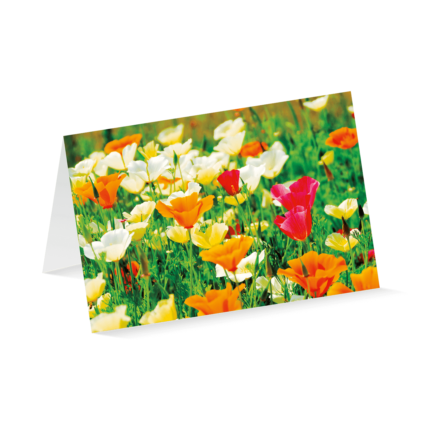 Grußkarte „Blumenwiese“ kaufen im UNICEF Grußkartenshop. Bild 4