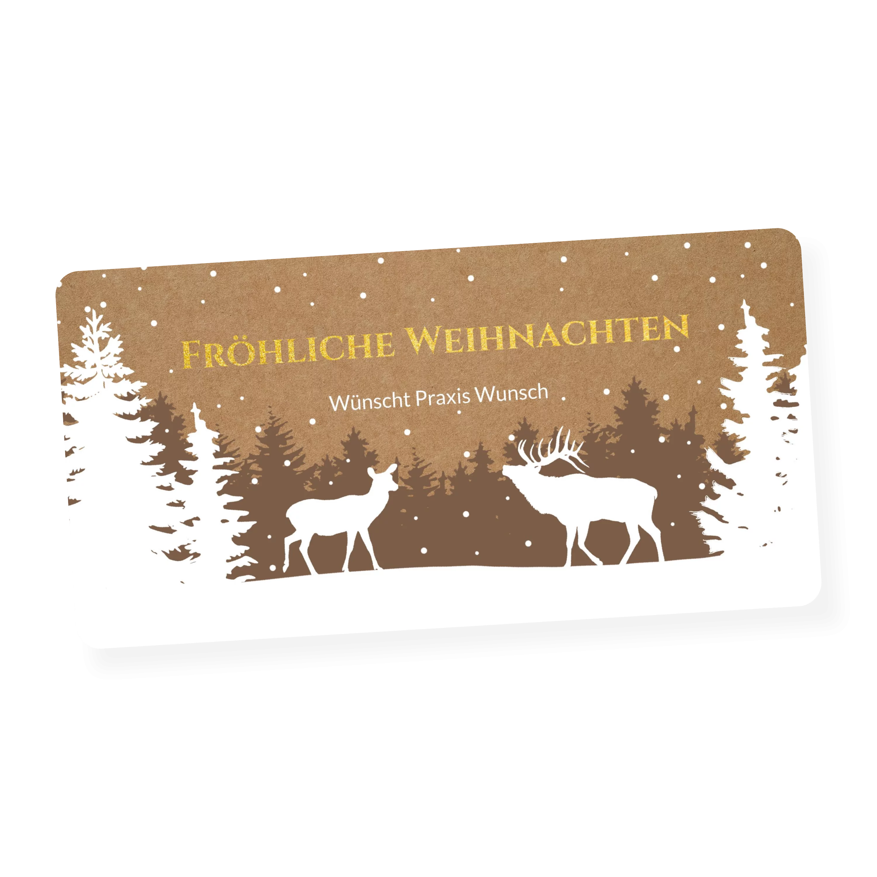 Winter wonderland