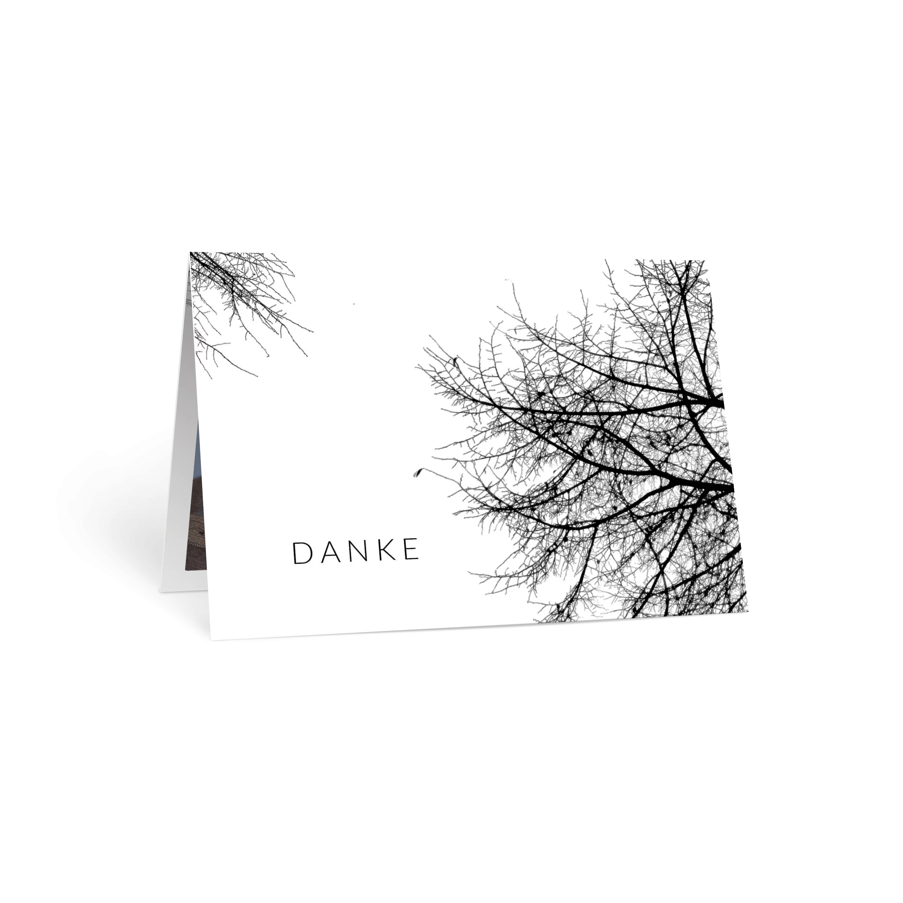 Äste am Baum