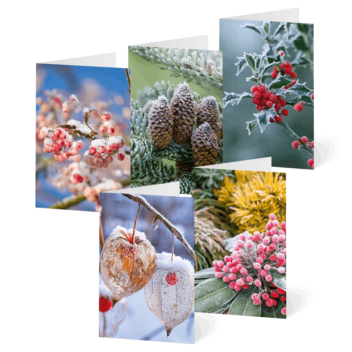 Weihnachtskarten – Frostzauber