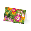 Grußkarte „Blumenwiesen“ kaufen im UNICEF Grußkartenshop. Bild 4