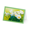 Grußkarte „Erste Frühjahrsblüten“ kaufen im UNICEF Grußkartenshop. Bild 2