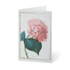 Grußkarte „Botanische Blumen“ kaufen im UNICEF Grußkartenshop. Bild 1