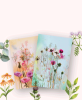   Blumenkarten: Grußkarten mit Blumen