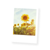 Grußkarte „Postkarten Blütenportraits“ kaufen im UNICEF Grußkartenshop. Bild 3
