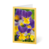 Grußkarte „Blumenkarten-Mix“ kaufen im UNICEF Grußkartenshop. Bild 1